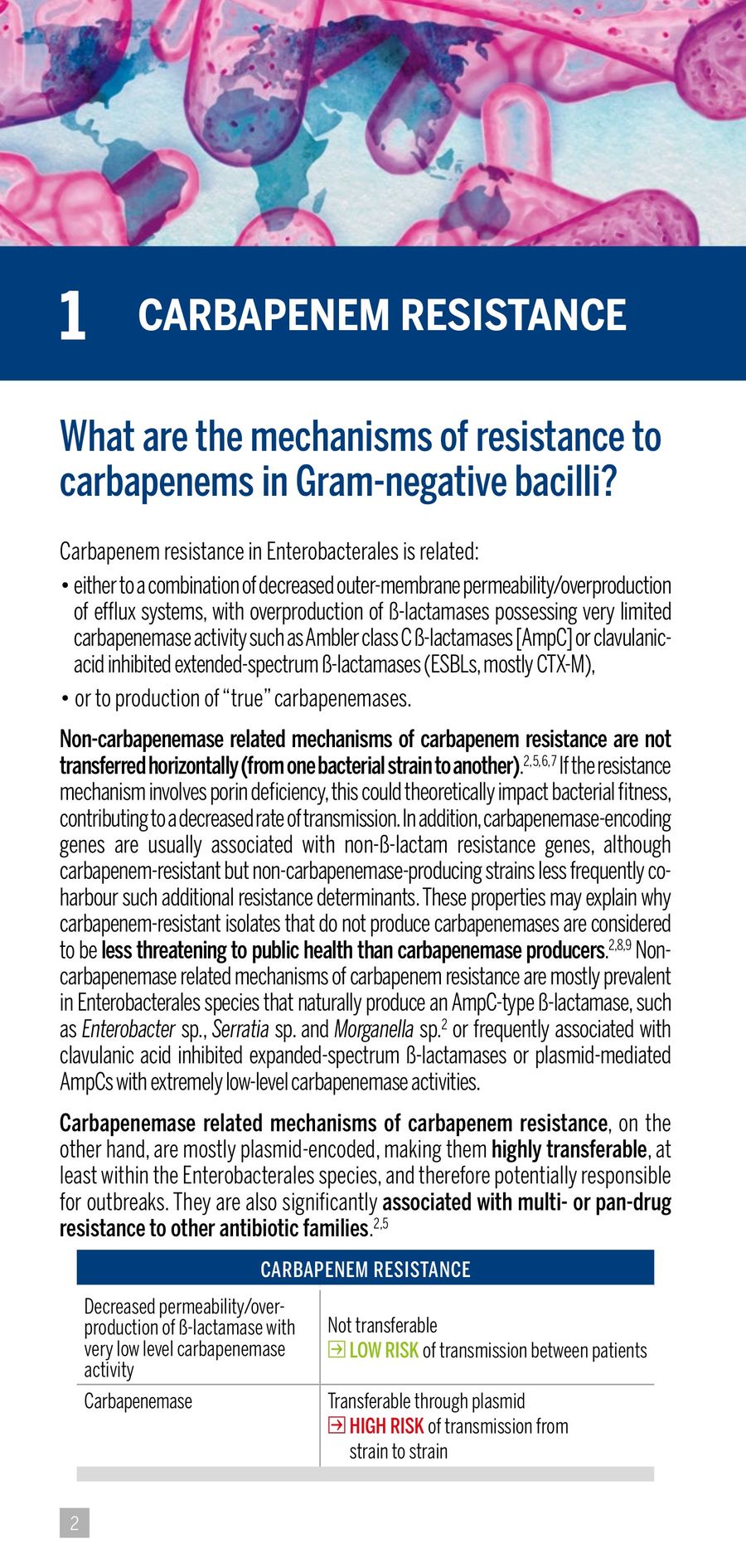 2024 CARBAPENEM RESISTANCE